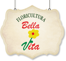 Floricultura Bella Vita